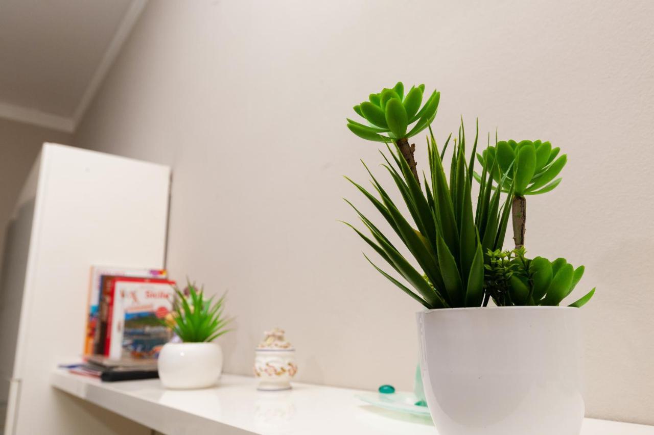 Holiday Apartment My House パレルモ エクステリア 写真
